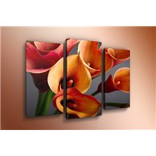 Картина на холсте по фото Модульные картины Печать портретов на холсте Модульная картина на  метале - m-000302