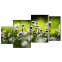 Портреты картины репродукции на заказ - Поле ромашек