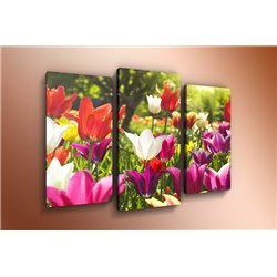 Модульная картина на  метале - m-000256 - Модульная картины, Репродукции, Декоративные панно, Декор стен