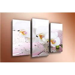 Модульная картина на дереве - m-000584 - Модульная картины, Репродукции, Декоративные панно, Декор стен