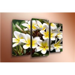 Модульная картина на дереве - m-000351 - Модульная картины, Репродукции, Декоративные панно, Декор стен