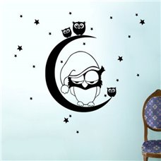 Картина на холсте по фото Модульные картины Печать портретов на холсте Трафарет Спящая сова