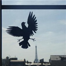 Картина на холсте по фото Модульные картины Печать портретов на холсте Трафарет Голубь на стекле