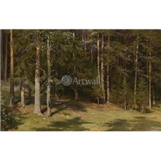 Картина на холсте по фото Модульные картины Печать портретов на холсте Опушка