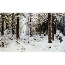 Картина на холсте по фото Модульные картины Печать портретов на холсте Зима