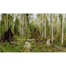 Картина на холсте по фото Модульные картины Печать портретов на холсте Сосновый лес