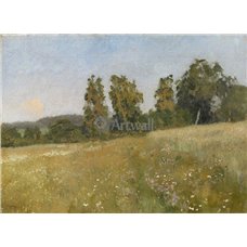 Картина на холсте по фото Модульные картины Печать портретов на холсте Лесной луг