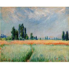 Картина на холсте по фото Модульные картины Печать портретов на холсте Пшеничное поле