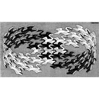 Психоделические животные и птицы, летящие по петле Мебиуса