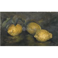 Портреты картины репродукции на заказ - Лимоны