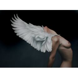 Эми Джадд (Amy Judd) - Модульная картины, Репродукции, Декоративные панно, Декор стен