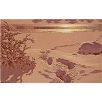 Следы на снегу в лунном свете