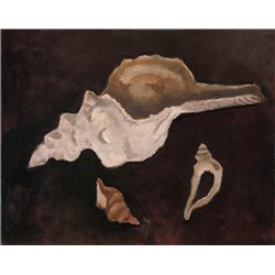 Три раковины - Модульная картины, Репродукции, Декоративные панно, Декор стен