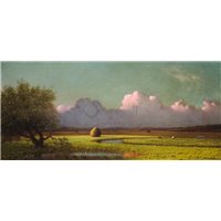 Солнечный свет и тень на болотах Ньюбери
