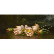Картина на холсте по фото Модульные картины Печать портретов на холсте Лотосы
