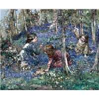 Лес с колокольчиками