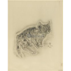 Из книги Кошек - Модульная картины, Репродукции, Декоративные панно, Декор стен