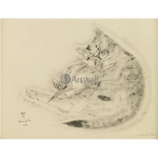 Картина на холсте по фото Модульные картины Печать портретов на холсте Из книги Кошек