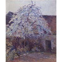 Дворик весной