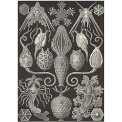 Амфориды - Модульная картины, Репродукции, Декоративные панно, Декор стен