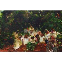 Среди апельсиновых деревьев