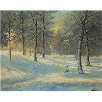 Зимний лес