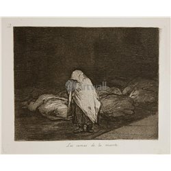 Бедствия войны - Лист 62. Ложе смерти - Модульная картины, Репродукции, Декоративные панно, Декор стен