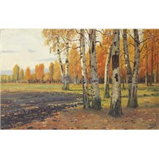 Картина на холсте по фото Модульные картины Печать портретов на холсте Березы на опушке