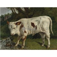 Портреты картины репродукции на заказ - Бык
