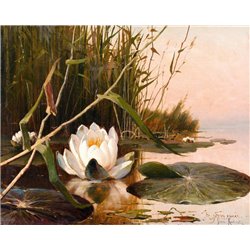 Водяная лилия - Модульная картины, Репродукции, Декоративные панно, Декор стен