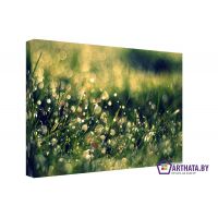 Портреты картины репродукции на заказ - Луговые травы