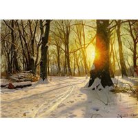 Закат в зимнем лесу