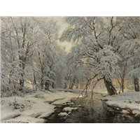 Зимний лес