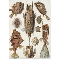 Кузовковые - Модульная картины, Репродукции, Декоративные панно, Декор стен