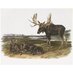 Лось - Модульная картины, Репродукции, Декоративные панно, Декор стен
