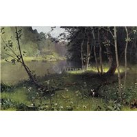 Лесная река