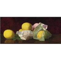 Портреты картины репродукции на заказ - Макклоски Уильям «Лимоны Флориды»