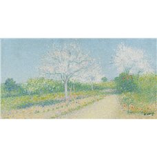 Картина на холсте по фото Модульные картины Печать портретов на холсте Миндальные деревья в цвету у дороги в Кайо