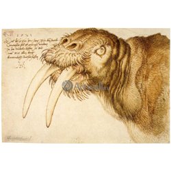Морж - Модульная картины, Репродукции, Декоративные панно, Декор стен