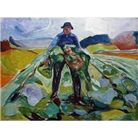Портреты картины репродукции на заказ - Мужчина на капустном поле