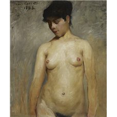 Картина на холсте по фото Модульные картины Печать портретов на холсте Обнаженная девушка