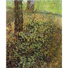Картина на холсте по фото Модульные картины Печать портретов на холсте Подлесок