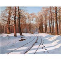 Последние лучи солнца