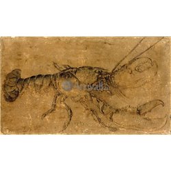 Рак - Модульная картины, Репродукции, Декоративные панно, Декор стен