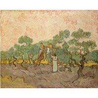Портреты картины репродукции на заказ - Сбор оливок, 1889