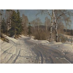 Солнечный зимний день в лангсете, Лиллехаммер Норвегия - Модульная картины, Репродукции, Декоративные панно, Декор стен