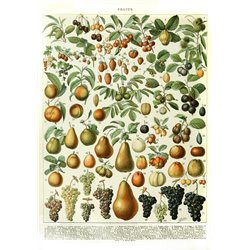 Фрукты - Модульная картины, Репродукции, Декоративные панно, Декор стен
