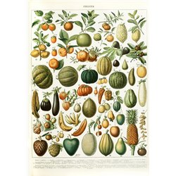 Фрукты - Модульная картины, Репродукции, Декоративные панно, Декор стен