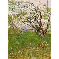 Портреты картины репродукции на заказ - Цветущий сад, 1888