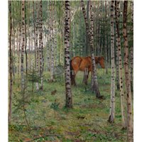 Лошадь в березовой роще